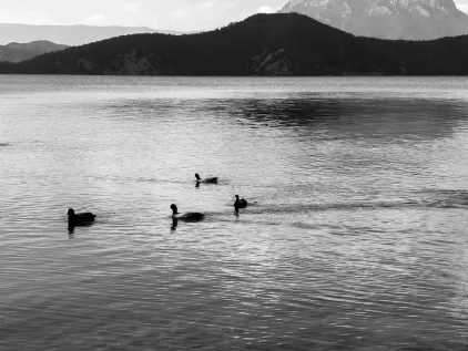 Casino Midas Mobiele App